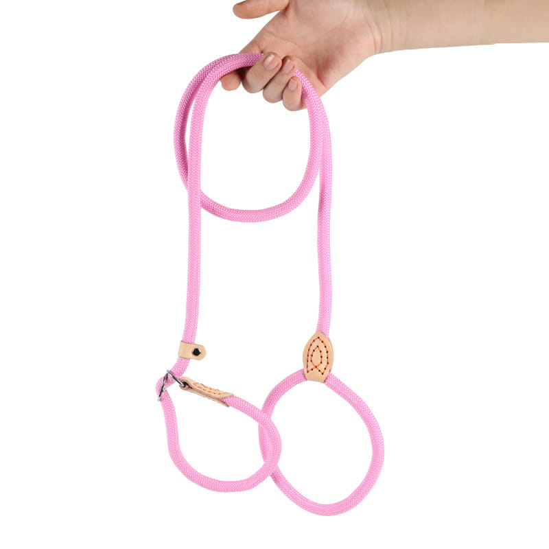 Macaron Color Heavy Duty Rope Slip Leash with Adjustable Leather Stopper for Dog Training