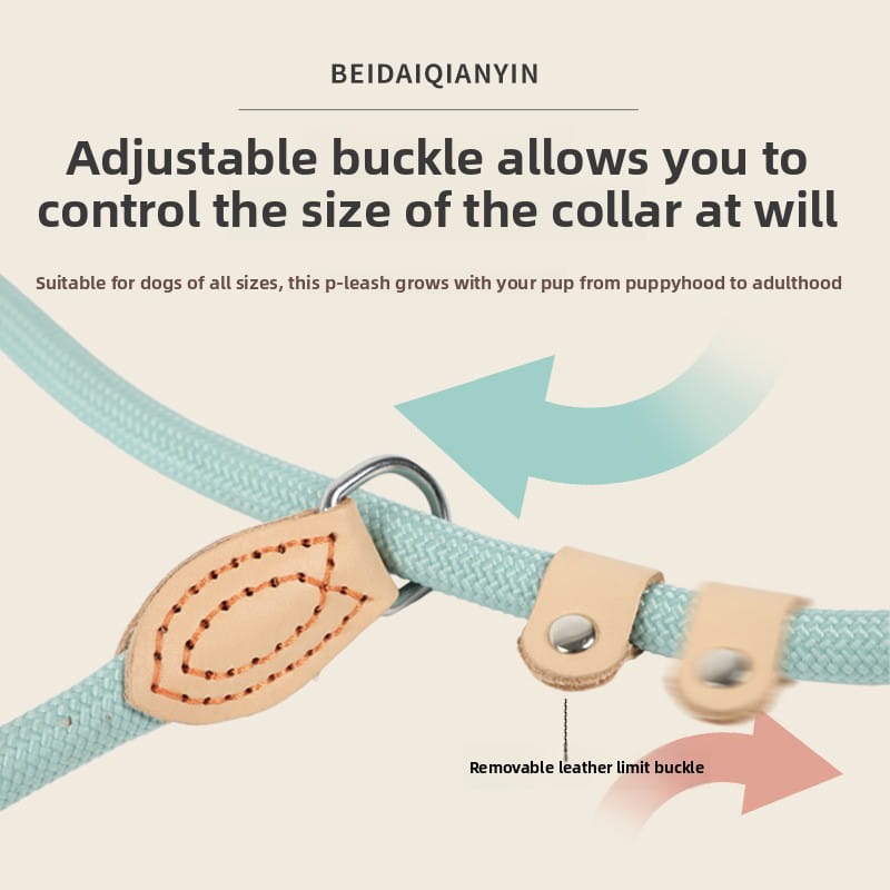 Macaron Color Heavy Duty Rope Slip Leash with Adjustable Leather Stopper for Dog Training